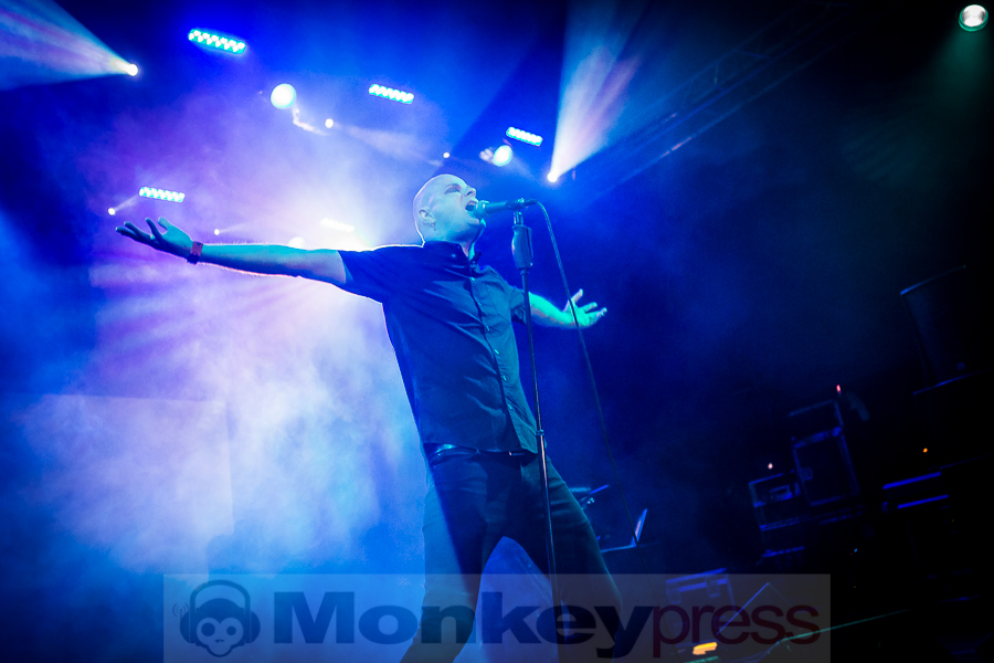 Pride And Fall, © Michael Gamon