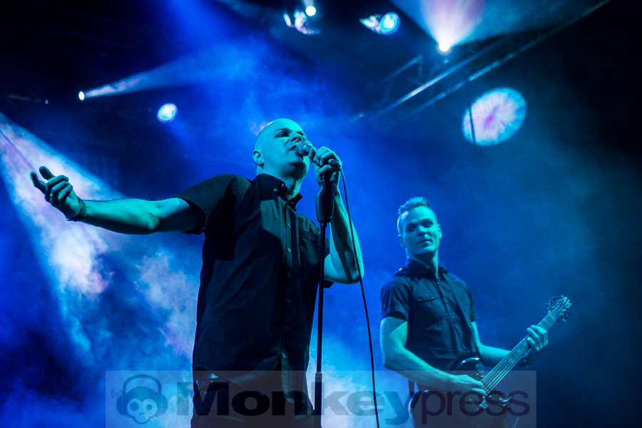 Pride And Fall, © Michael Gamon