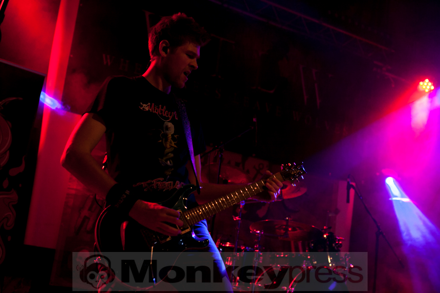 Dead Memory, © Dirk Wirtz