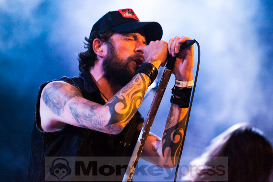 Fotos: WHEN TREES LEAVE WOLVES