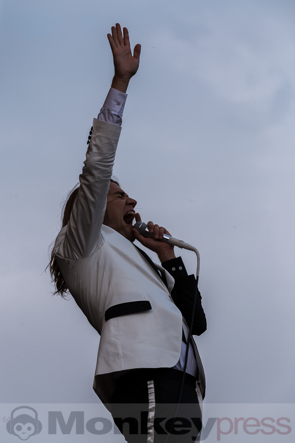The Hives © Tabea Debora Pringal