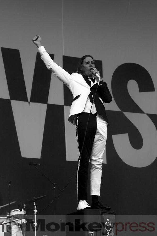 The Hives © Tabea Debora Pringal