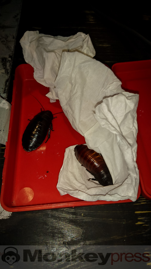 Dr. Mark Benecke,© Claudia Marquardt