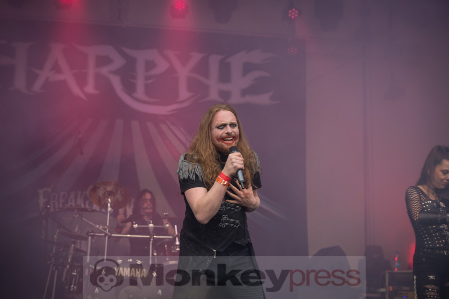 Harpyie,© Danny Sotzny