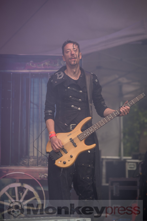 Harpyie,© Danny Sotzny