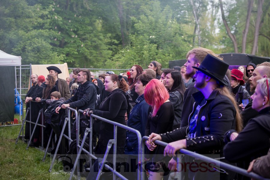 Harpyie,© Danny Sotzny