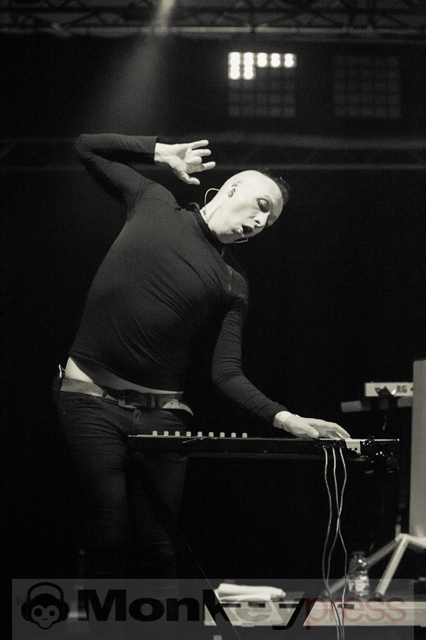 Solar Fake,© Danny Sotzny