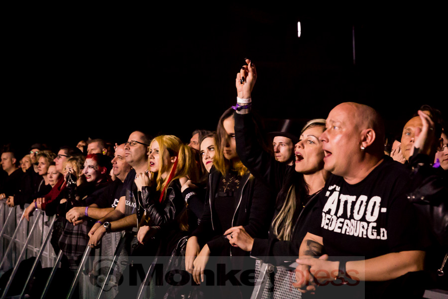 Solar Fake,© Danny Sotzny