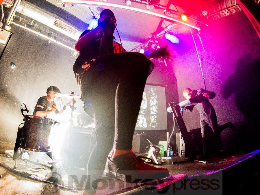 Aesthetic Perfection, © Dietmar Grabs