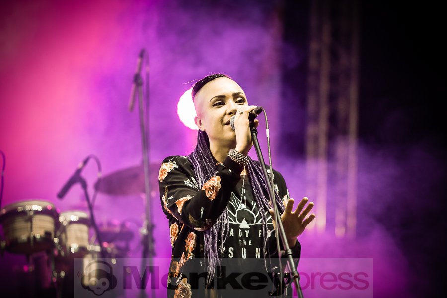 Stereo MCs, (c) Frank Halfmeier