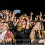 Fotos: MELT! FESTIVAL – Besucher & Impressionen (17.07.2016)