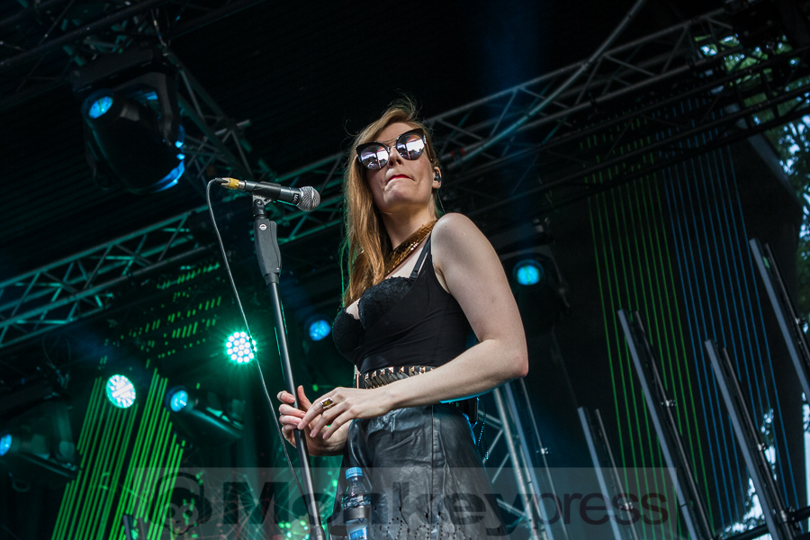 Rea Garvey, © Markus Hillgärtner