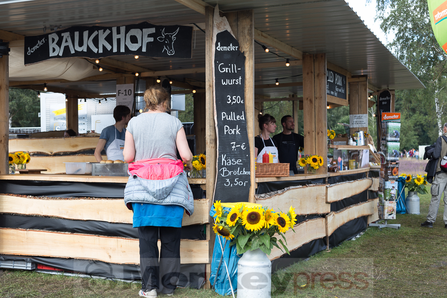 A Summer's Tale 2016 Impressionen © Tabea Debora Pringal