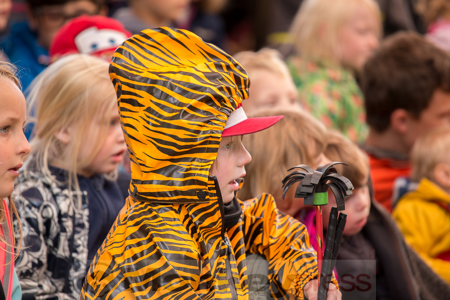 A Summer's Tale 2016 Impressionen © Tabea Debora Pringal