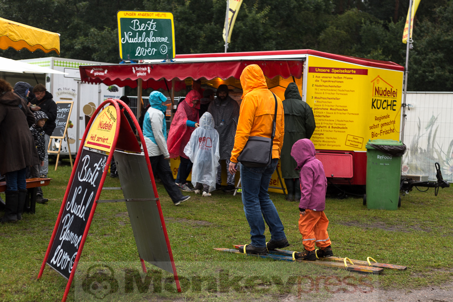 A Summer's Tale 2016 Impressionen © Tabea Debora Pringal