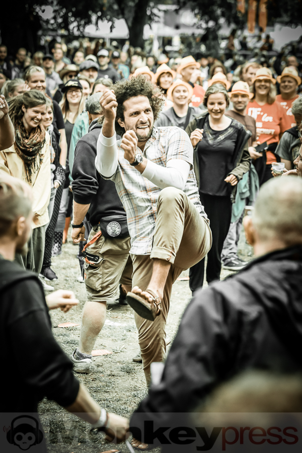(c) Frank Halfmeier, Open Flair Festival 2016, Eschwege, Deutschland
