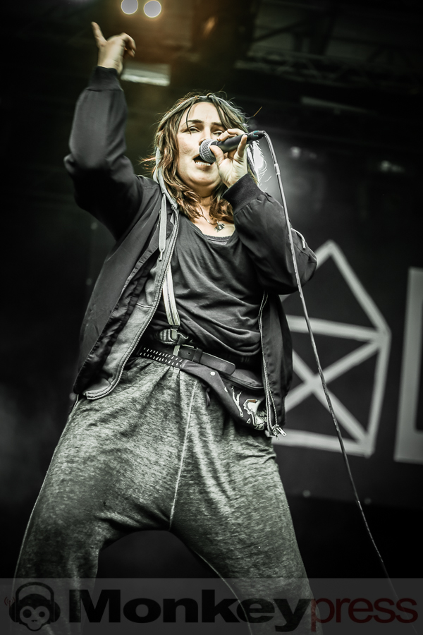 (c) Frank Halfmeier, Open Flair Festival 2016, Eschwege, Deutschland