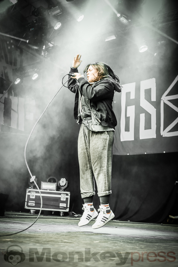 (c) Frank Halfmeier, Open Flair Festival 2016, Eschwege, Deutschland