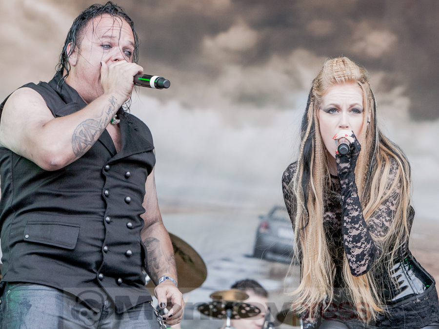 Aeverium, © Dietmar Grabs