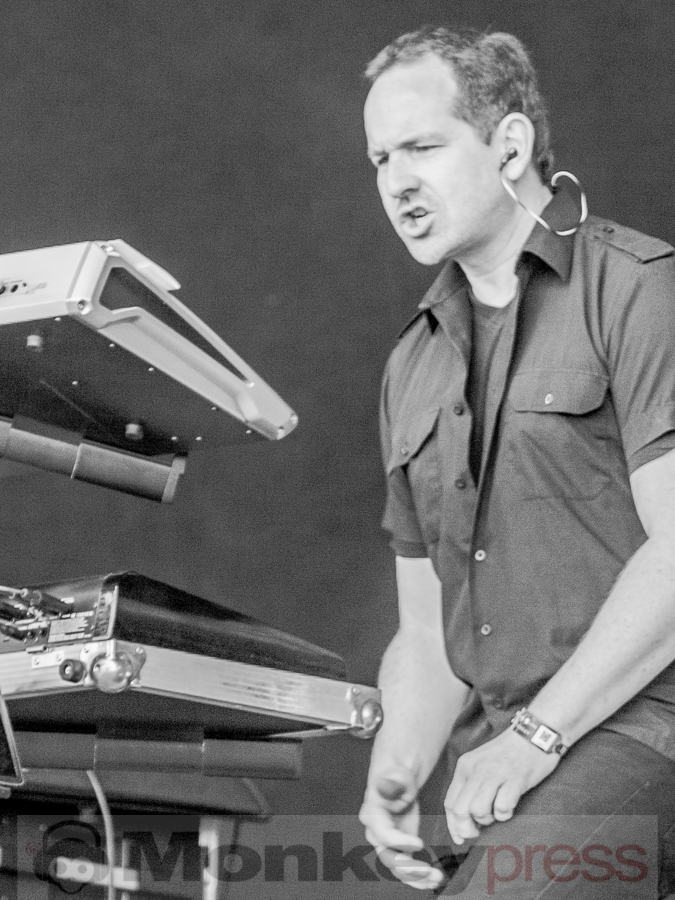 Aeverium, © Dietmar Grabs