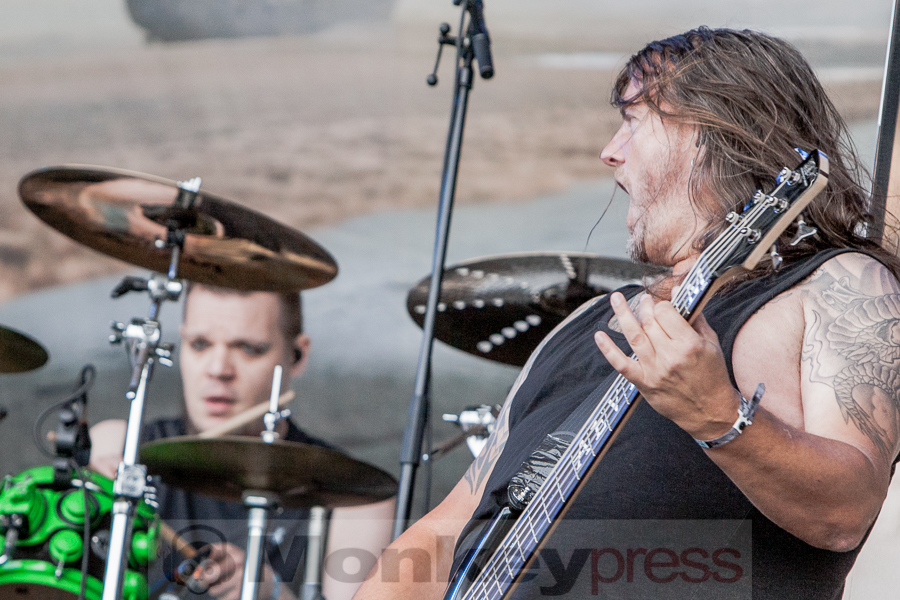 Aeverium, © Dietmar Grabs