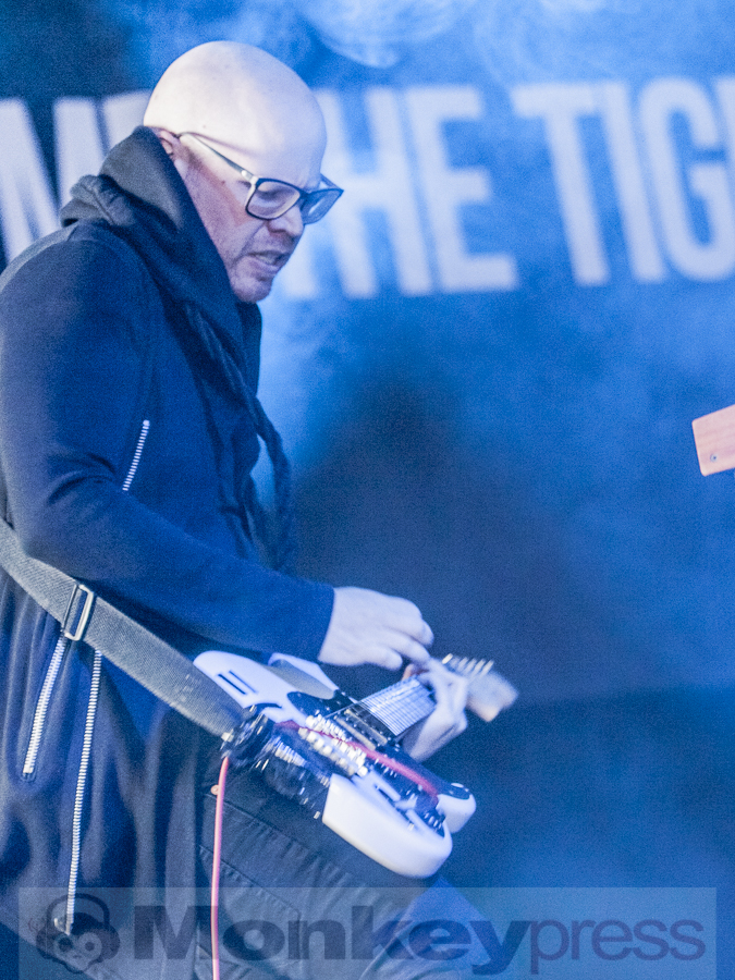 Me The Tiger, © Dietmar Grabs