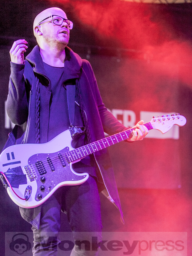 Me The Tiger, © Dietmar Grabs