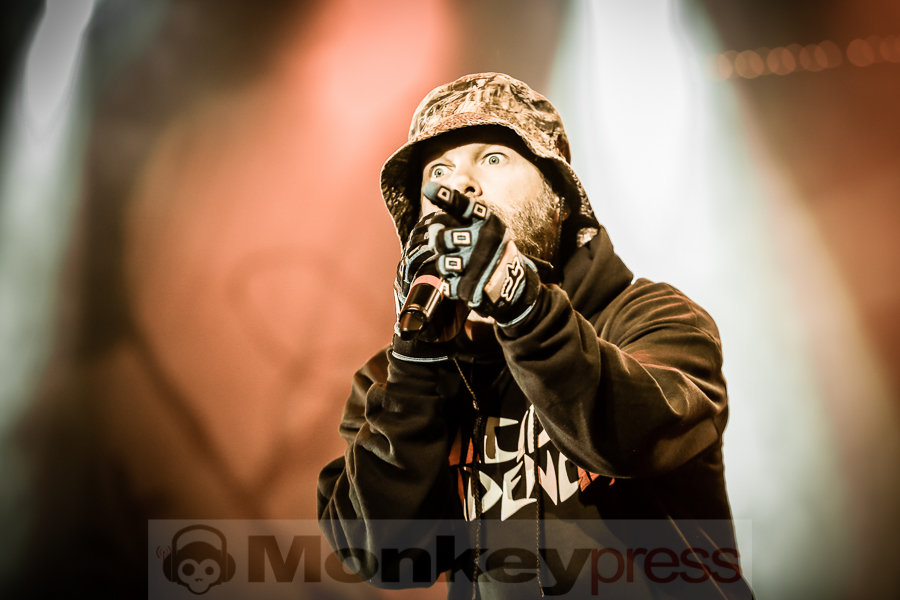 (c) Frank Halfmeier, Open Flair Festival 2016, Eschwege, Deutschland