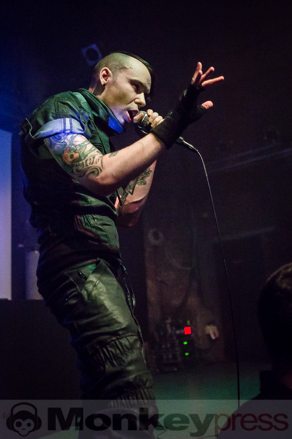 Formalin, © Michael Gamon