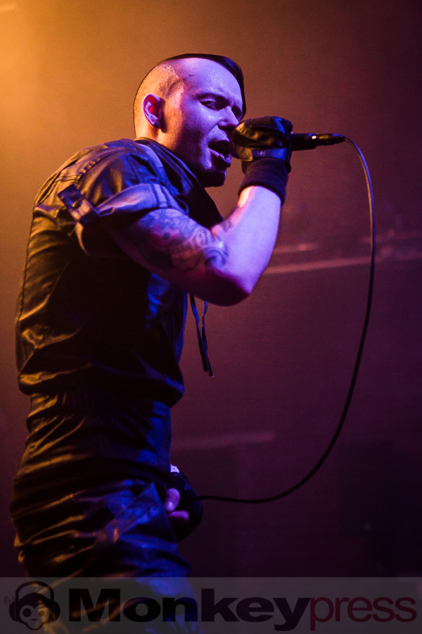 Formalin, © Michael Gamon