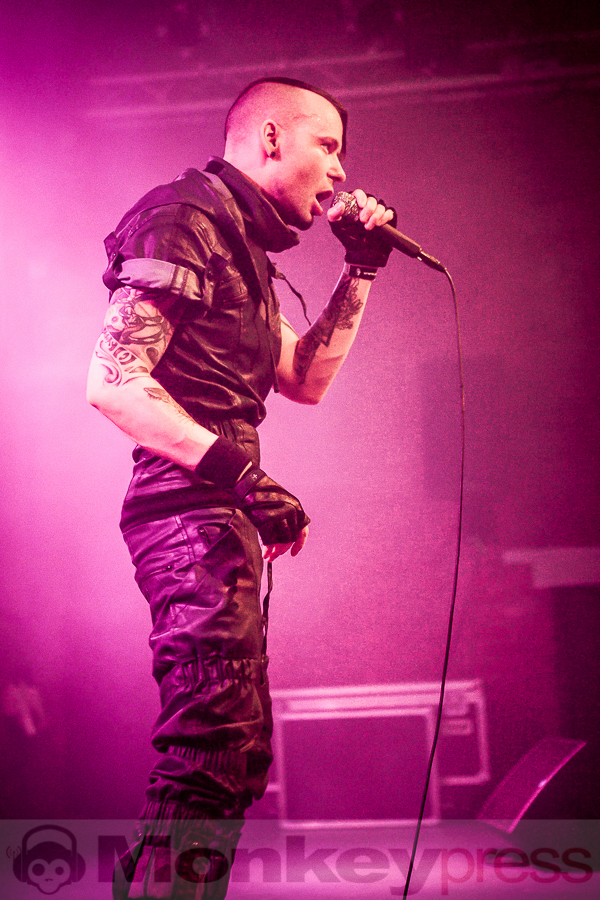 Formalin, © Michael Gamon