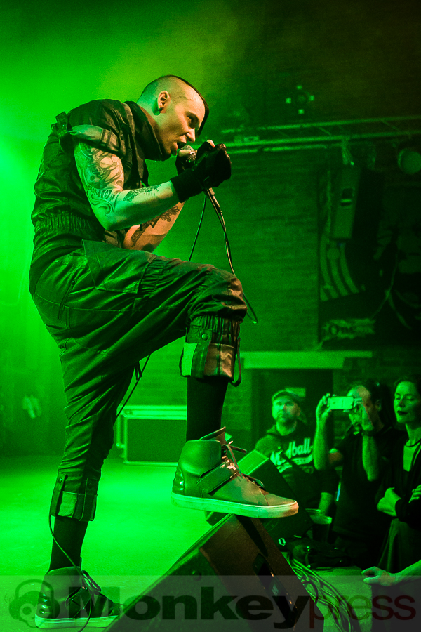 Formalin, © Michael Gamon