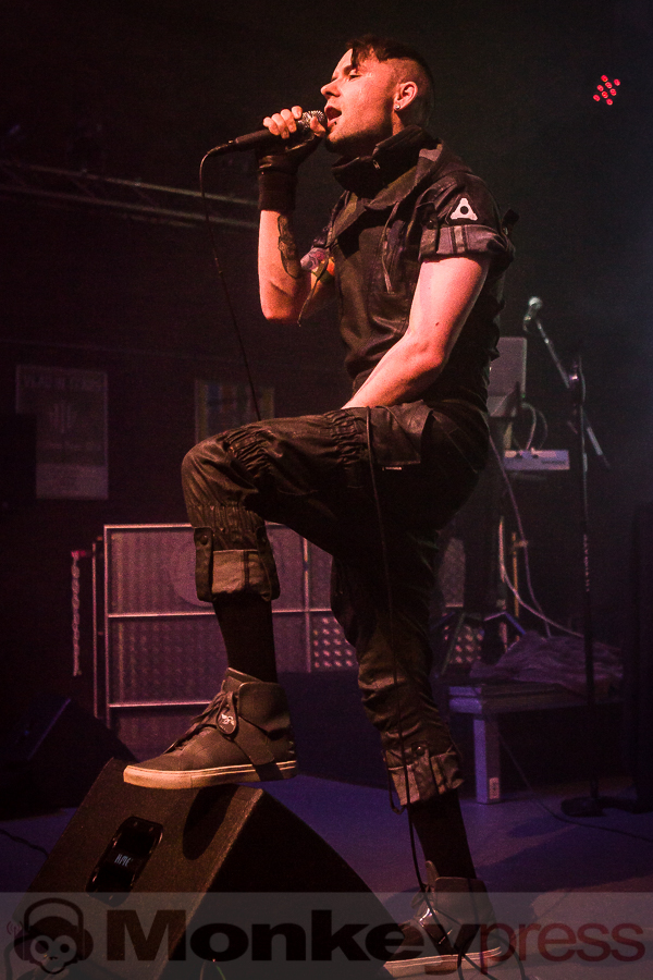 Formalin, © Michael Gamon