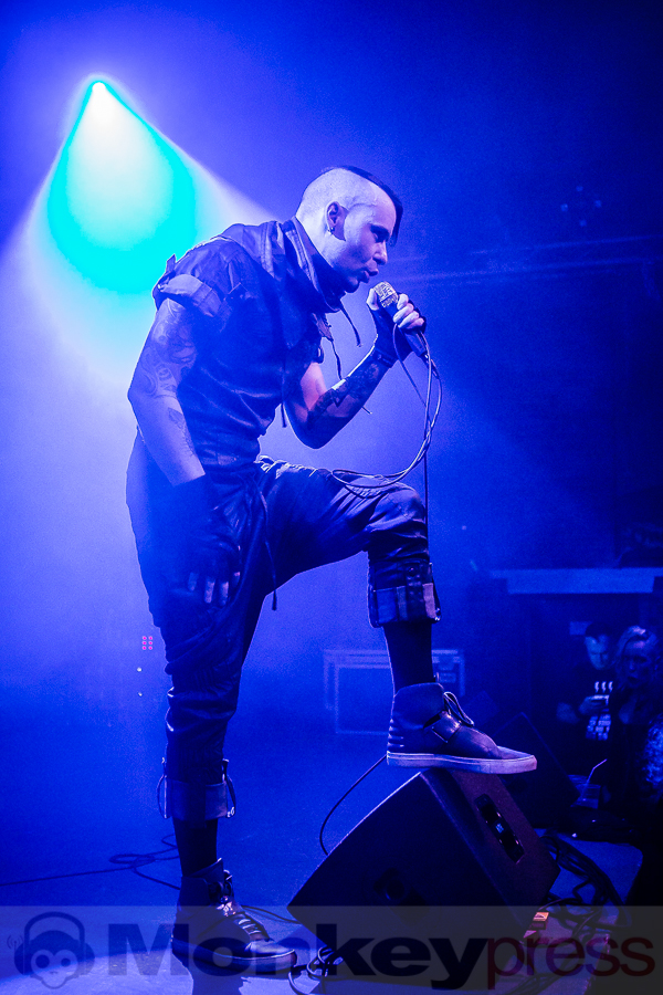 Formalin, © Michael Gamon