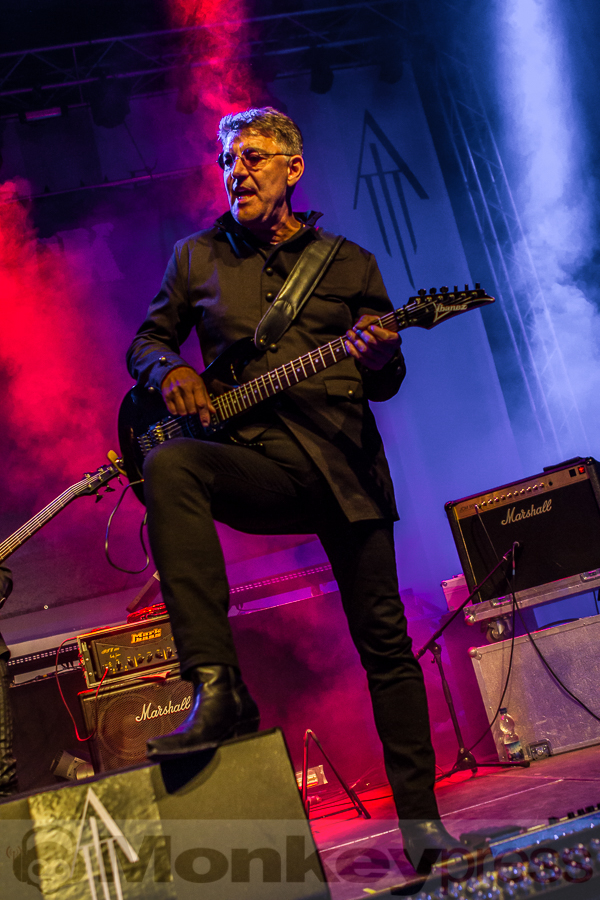 Grey Attack, © Markus Hillgärtner