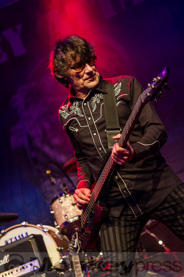 Grey Attack, © Markus Hillgärtner