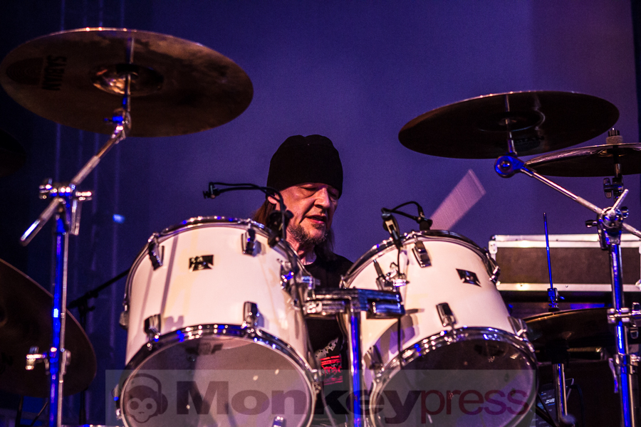 Grey Attack, © Markus Hillgärtner