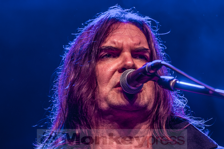 Grey Attack, © Markus Hillgärtner