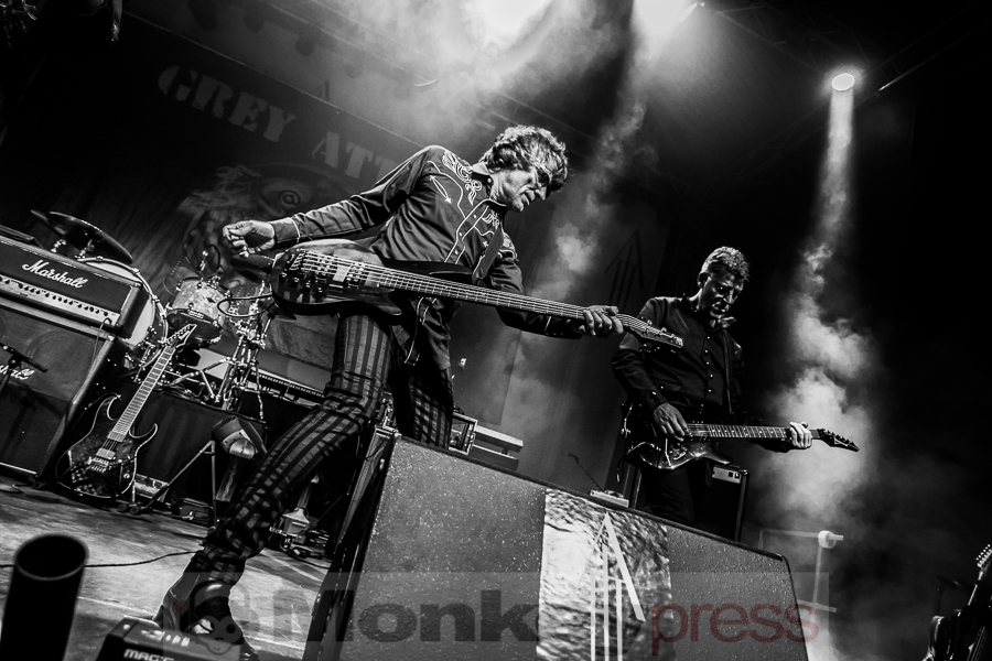 Grey Attack, © Markus Hillgärtner