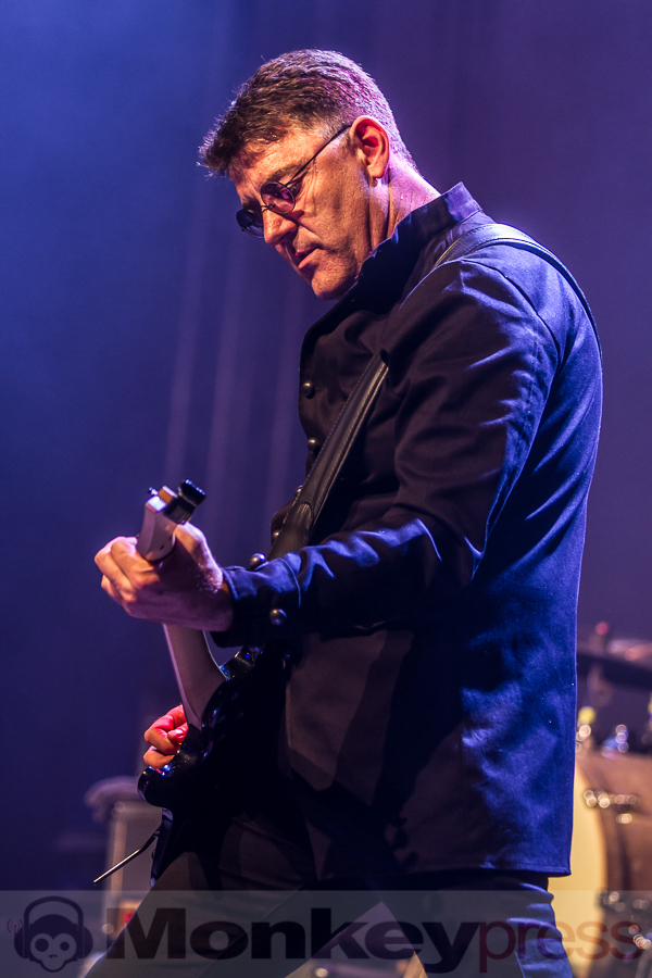 Grey Attack, © Markus Hillgärtner