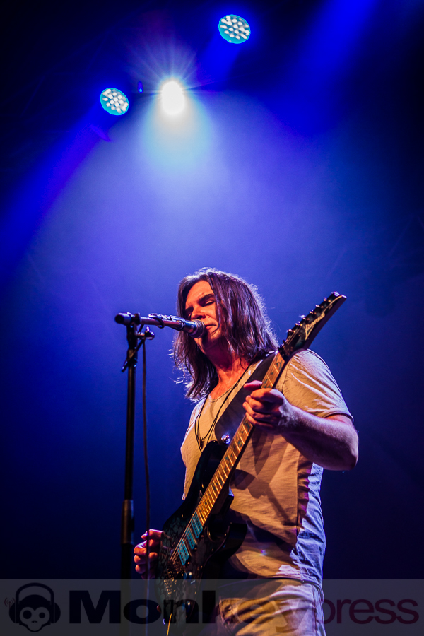 Grey Attack, © Markus Hillgärtner