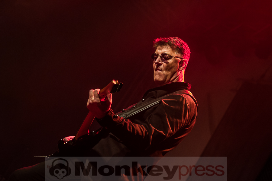 Grey Attack, © Markus Hillgärtner