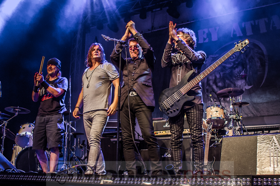 Grey Attack, © Markus Hillgärtner