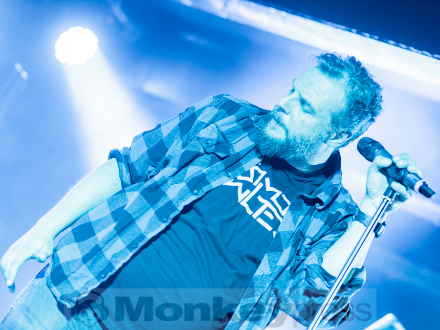 Neuroticfish, © Dietmar Grabs