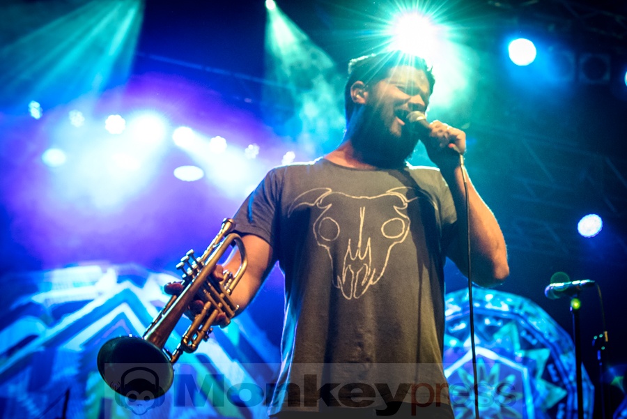 The Cat Empire, © Markus Werner