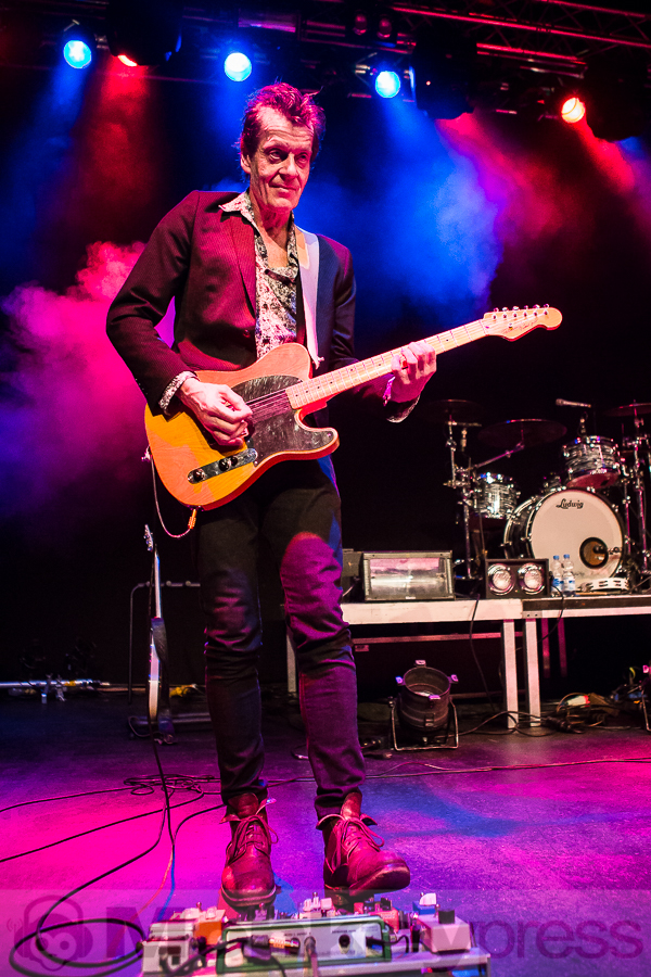 Dear Wolf, © Michael Gamon