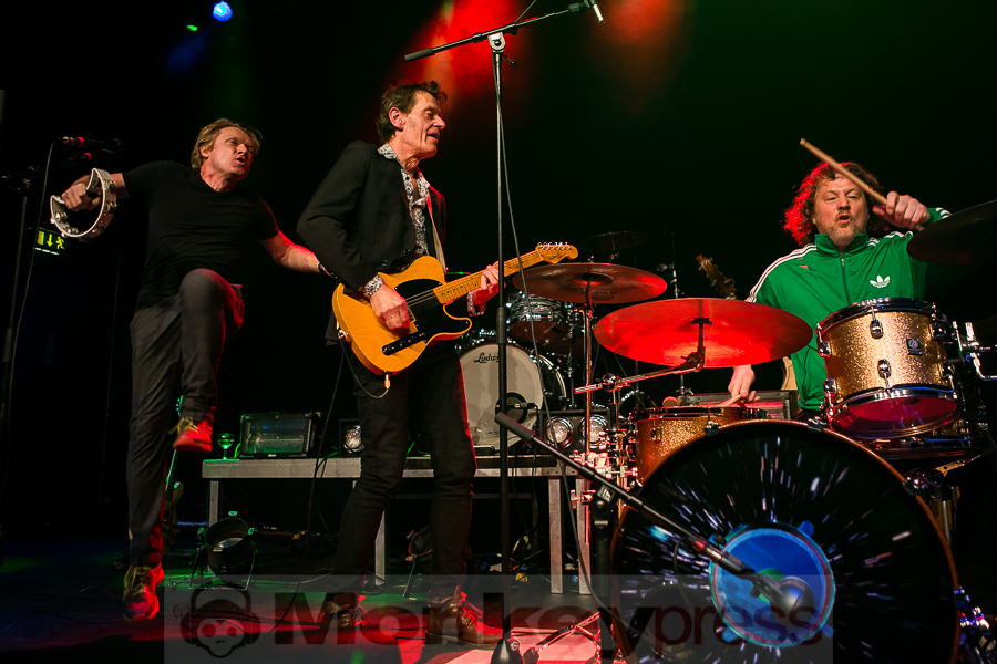 Dear Wolf, © Michael Gamon