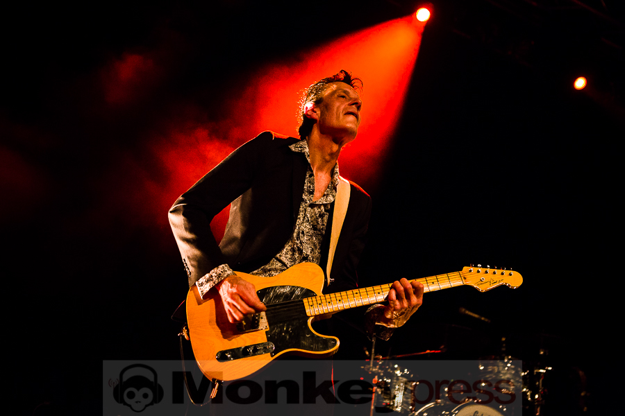 Dear Wolf, © Michael Gamon