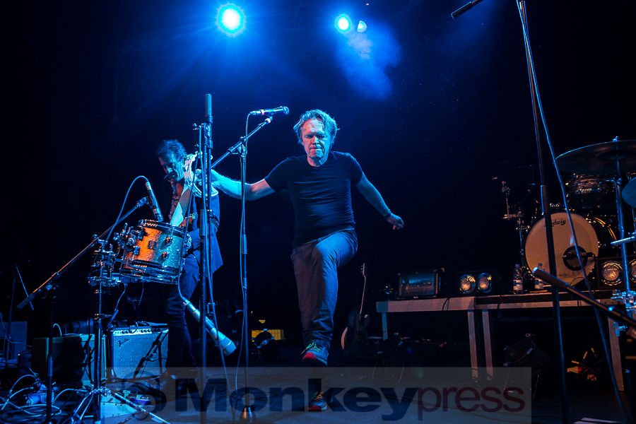 Dear Wolf, © Michael Gamon