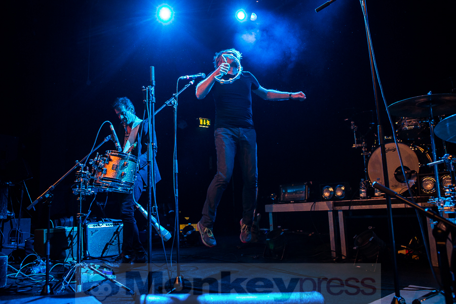 Dear Wolf, © Michael Gamon